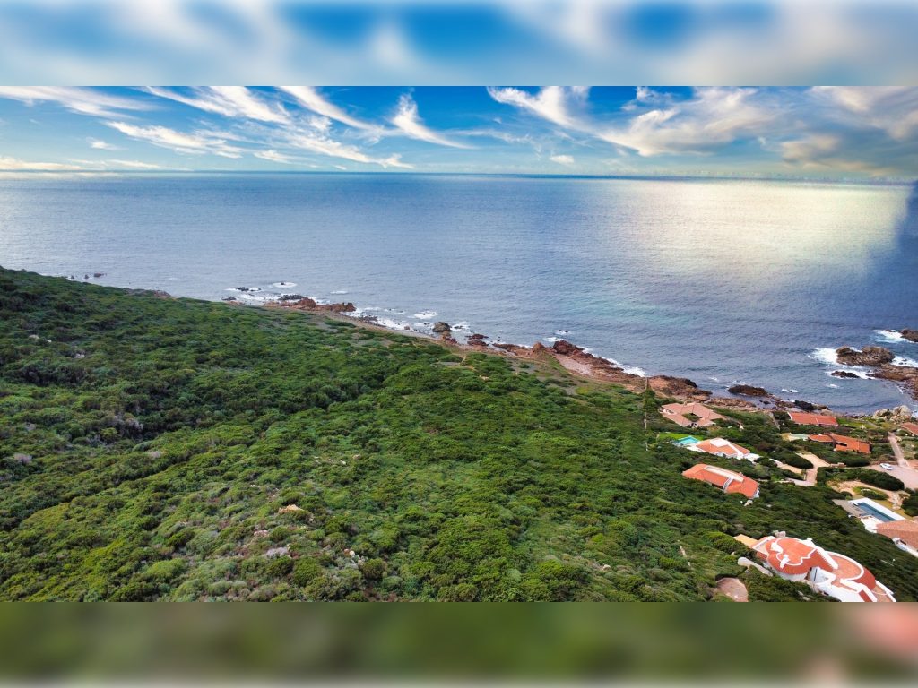 DJI_0787
