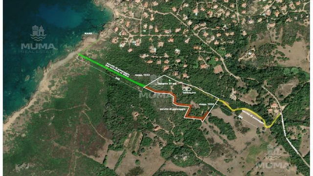 Vista alto mappa (1)